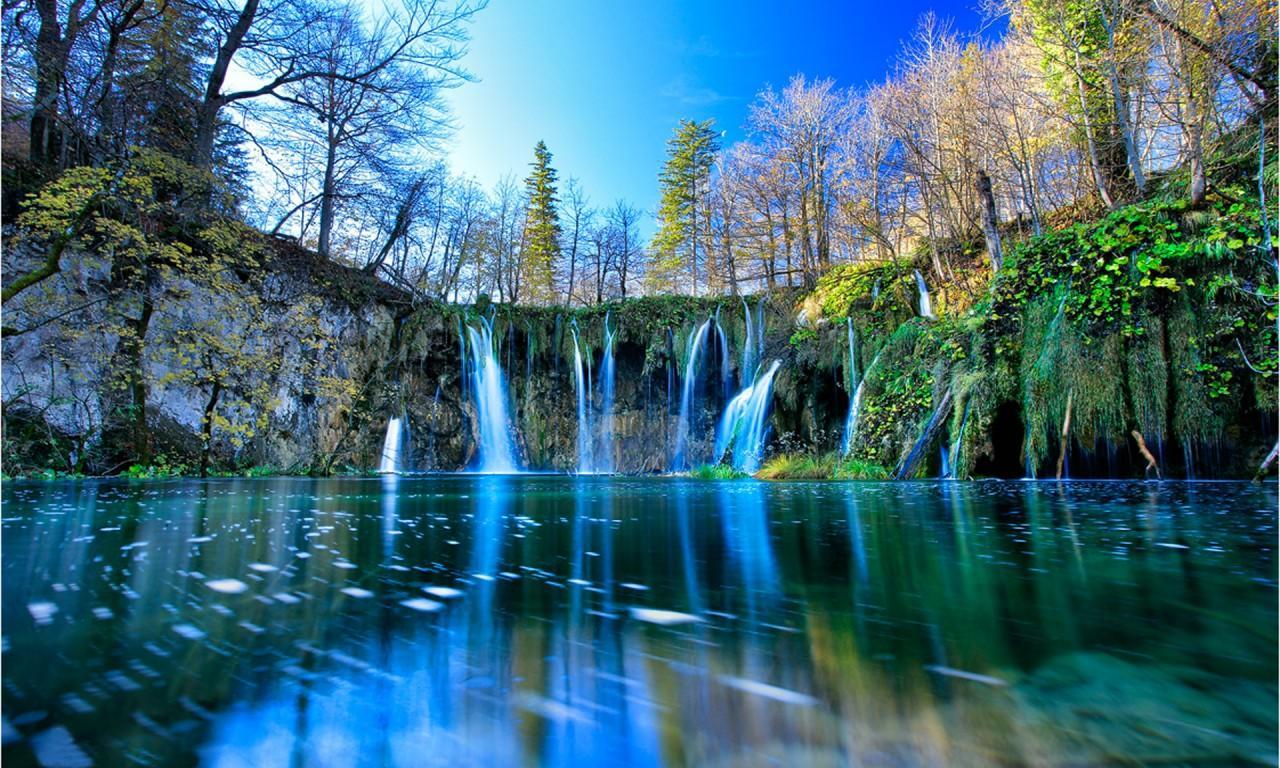 Bozic *